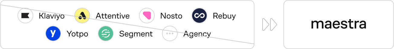 Klaviyo, Attentive, Nosto, Yotpo, Segment, Rebuy and agencies — all consolidated into Maestra