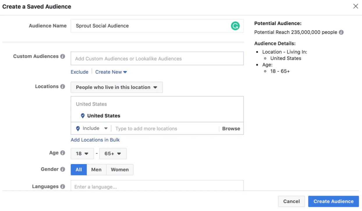 Building an audience for Facebook ads based on location, age, gender, language, and other parameters