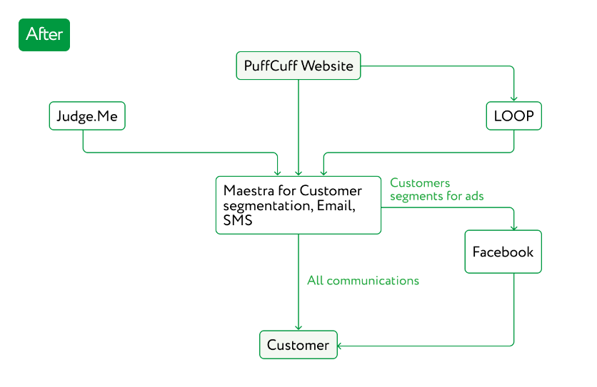 Puffcuff’s marketing stack uses Maestra CDP as the central data engine feeding into other tools