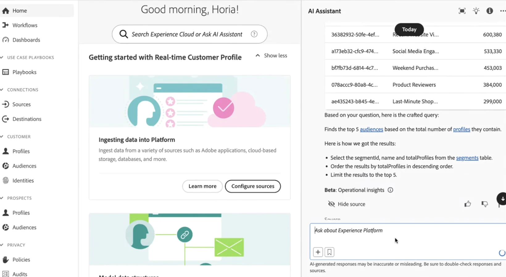 Image Adobe Real‑Time CDP’s AI Assistant