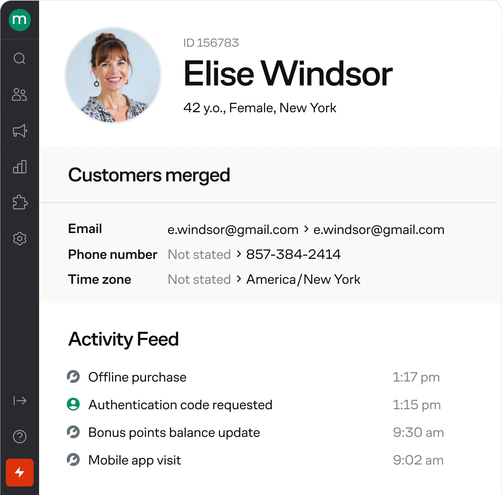 Customer profile in Maestra